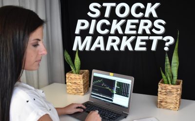 Are We In A Stock Pickers Market? (And My Best Investing Strategy)